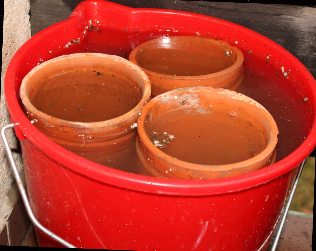 Vasos de barro em um balde vermelho cheio de água e vinagre.