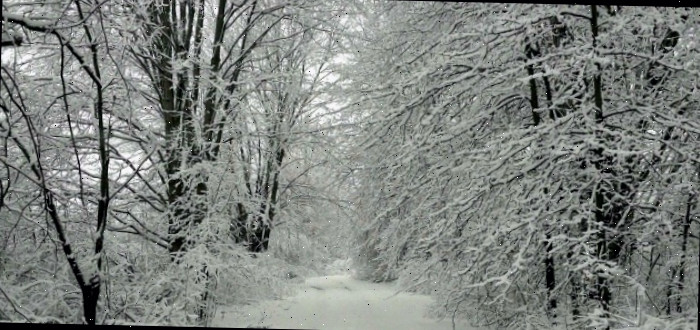 Cena de inverno maravilhosa em Southington, Ohio