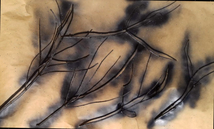 spray nos galhos de árvore com tinta preta pintar galhos de árvore de preto
