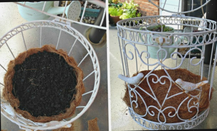 Uma colagem com imagens de uma casa de passarinho branca à esquerda e uma imagem interna mostrando um forro de fibra de coco com solo à direita.
