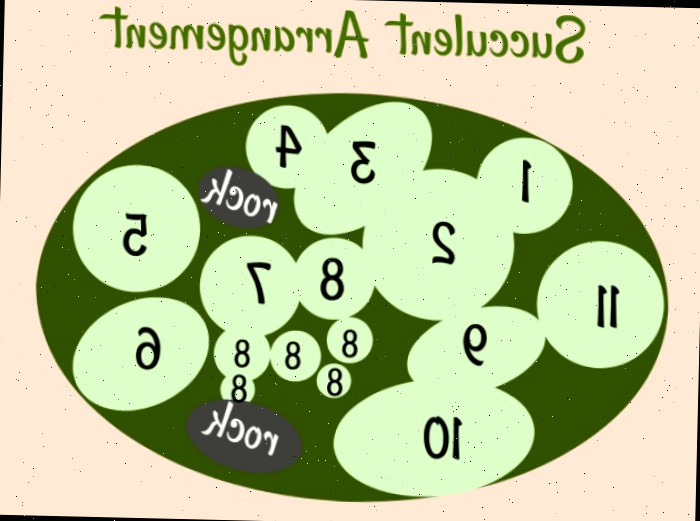 diagrama de suculentas diagrama para o arranjo de suculentas