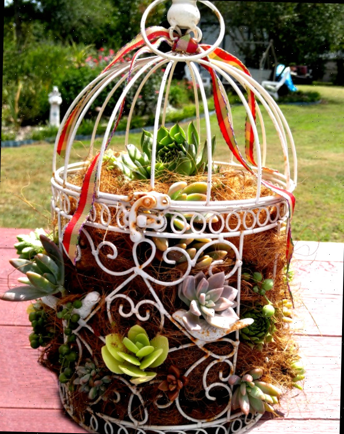 Uma jardineira de suculentas DIY sobre uma mesa rosa com um jardim ao fundo.