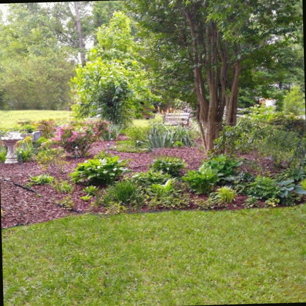 Dicas para o Jardim de Verão e Tour Pelo Jardim