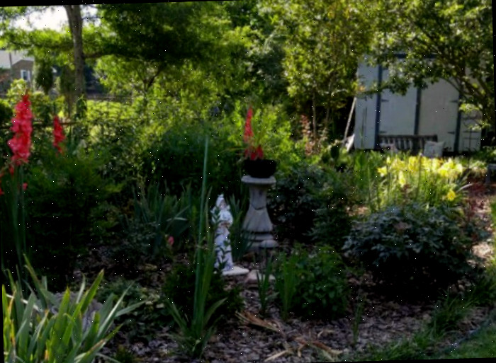 cama de jardim exuberante Um jardim vibrante pode ocultar uma cerca e atrair borboletas simultaneamente.