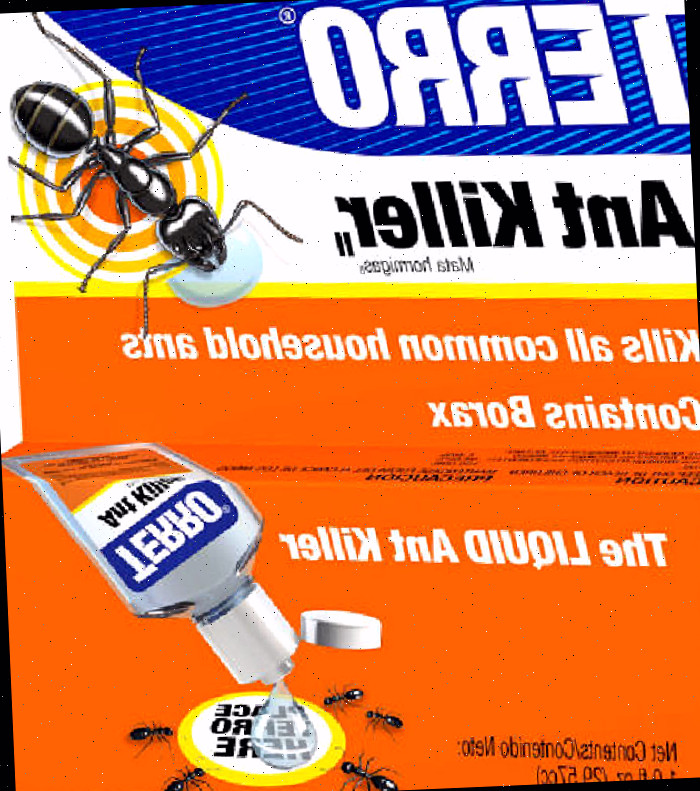 Uma caixa azul e laranja de isca líquida Terro.