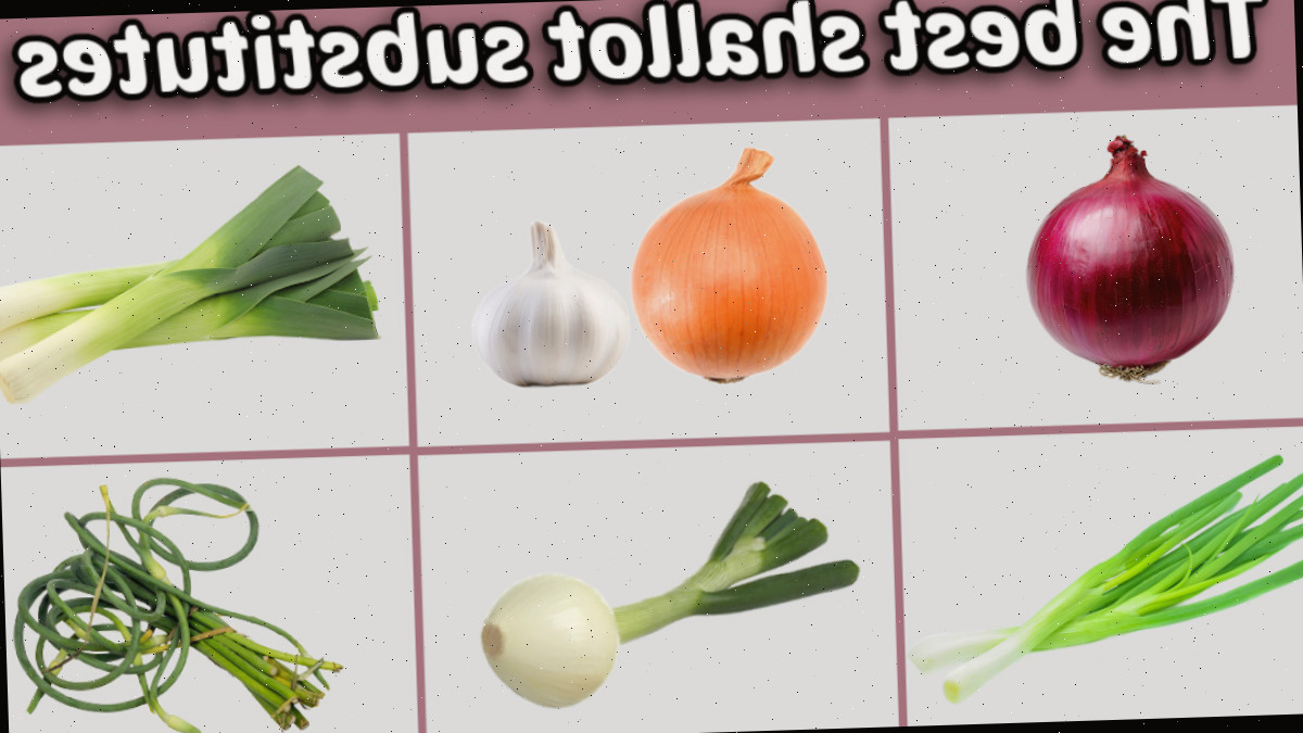 Imagens dos melhores substitutos de chalota incluindo cebola roxa, cebola + alho, alho-poró, cebolinha, cebolinhas da primavera e brotos de alho.