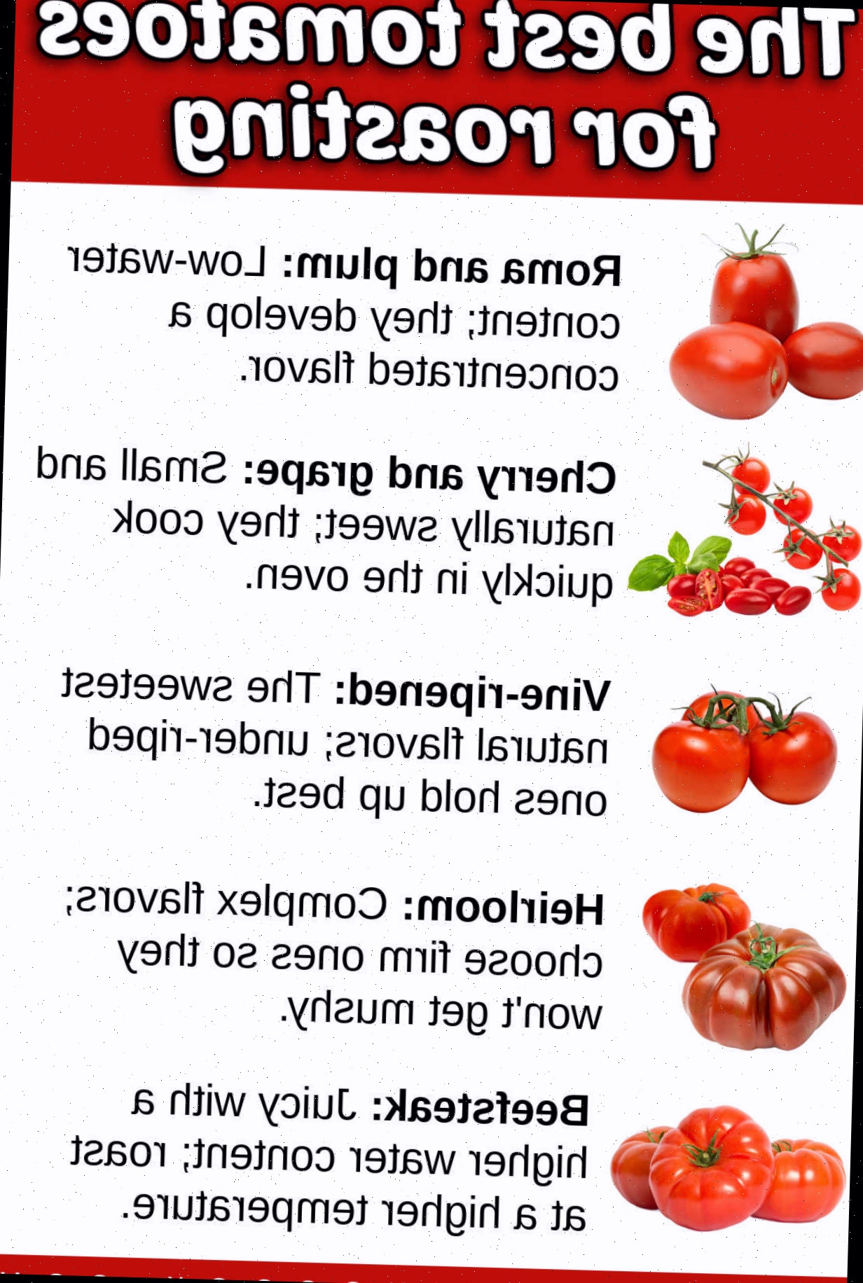Uma infografia mostrando 5 tipos de tomates: plum, cereja, madurados na planta, beefsteak e heirloom. Texto diz dicas para assar cada tipo. Caixa de texto vermelha no topo diz Os melhores tomates para torrar.