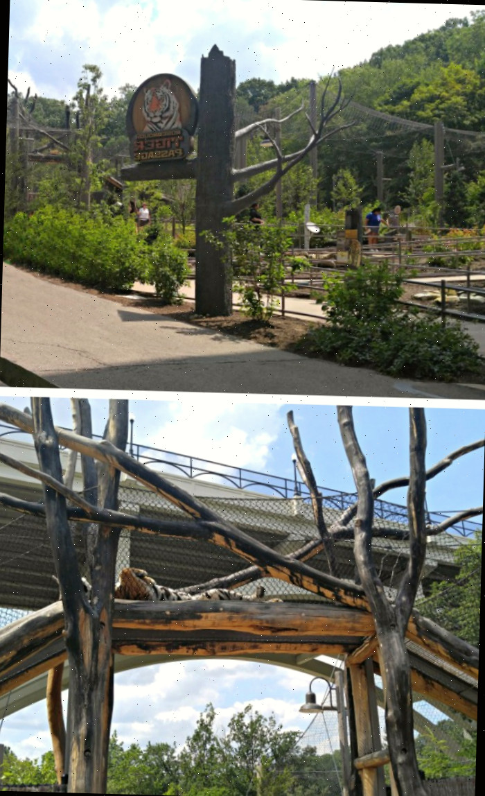 Passagem dos tigres no Zoológico Cleveland Metroparks