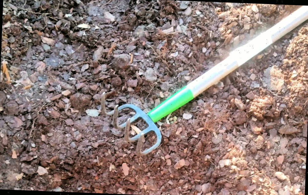 Solo arado. Um arado de cabo longo afrouxando o solo para construir camas de jardim elevadas.