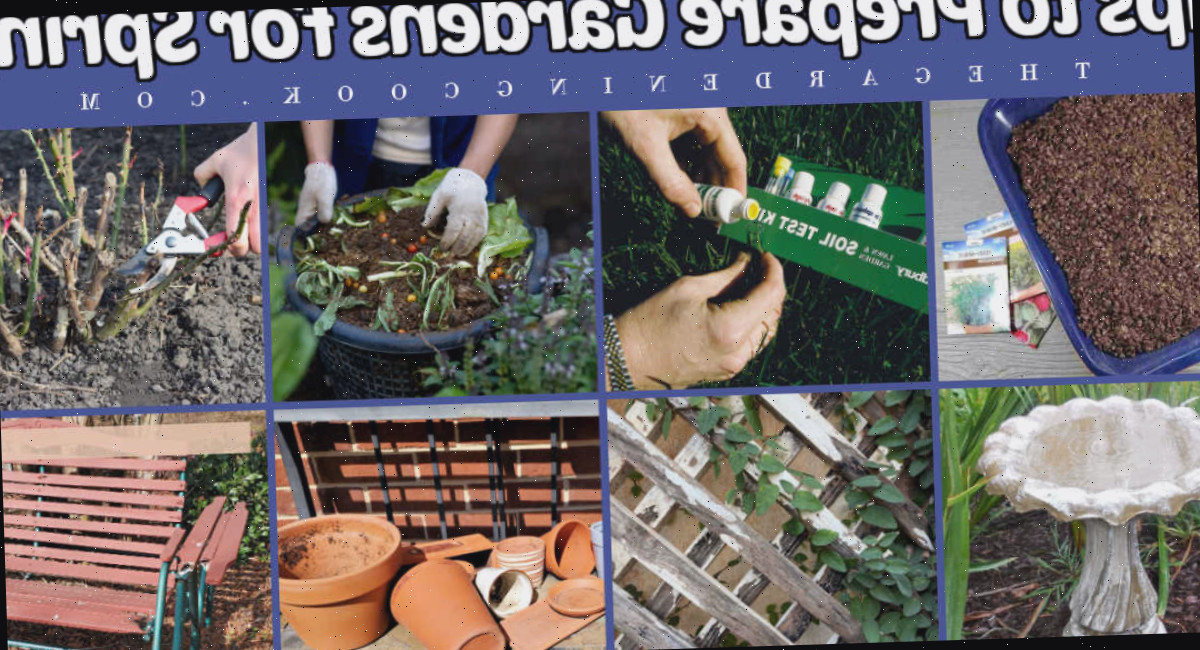 Imagens mostrando 8 métodos de preparar o jardim para a primavera, incluindo iniciar sementes, testar o solo, fazer composto, podar rosas, limpar bebedouros de pássaros, pintar treliças, limpar vasos e consertar móveis de jardim.