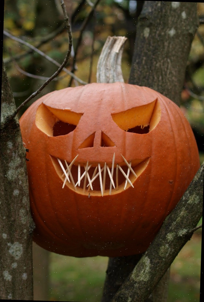 Abóbora esculpida com dentes feitos de palito.