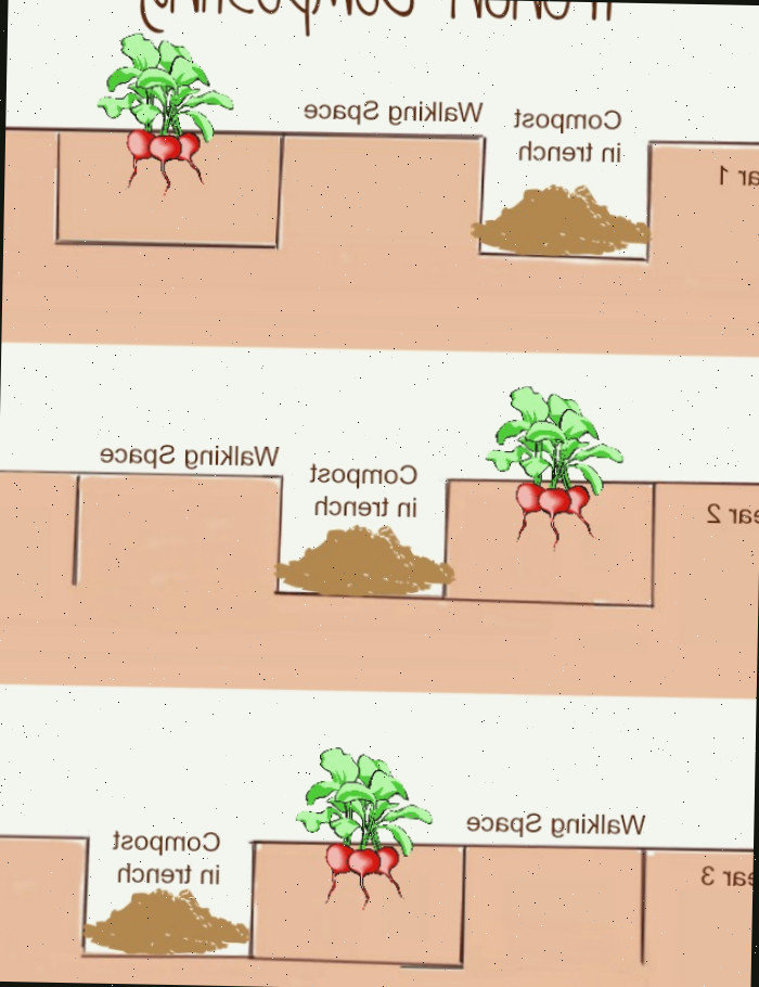A compostagem em trincheiras é uma maneira eficaz de combinar rotação de culturas e compostagem em um procedimento fácil de usar. thegardeningcook.com