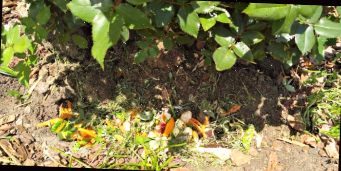 A compostagem em trincheiras é perfeita para aqueles que não conseguem administrar uma pilha de compostagem convencional.