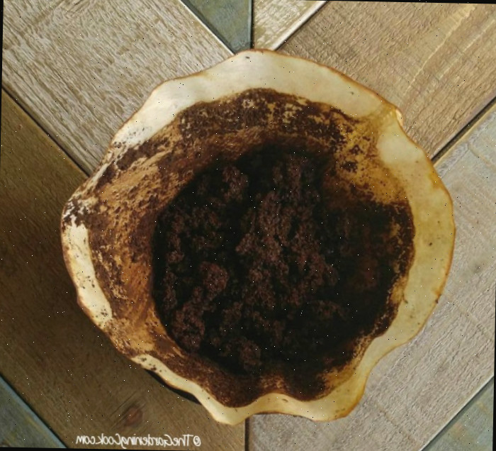 Adicione borra de café ao solo próximo a plantas que adoram ácido, como hortênsias, mirtilos e azaleias