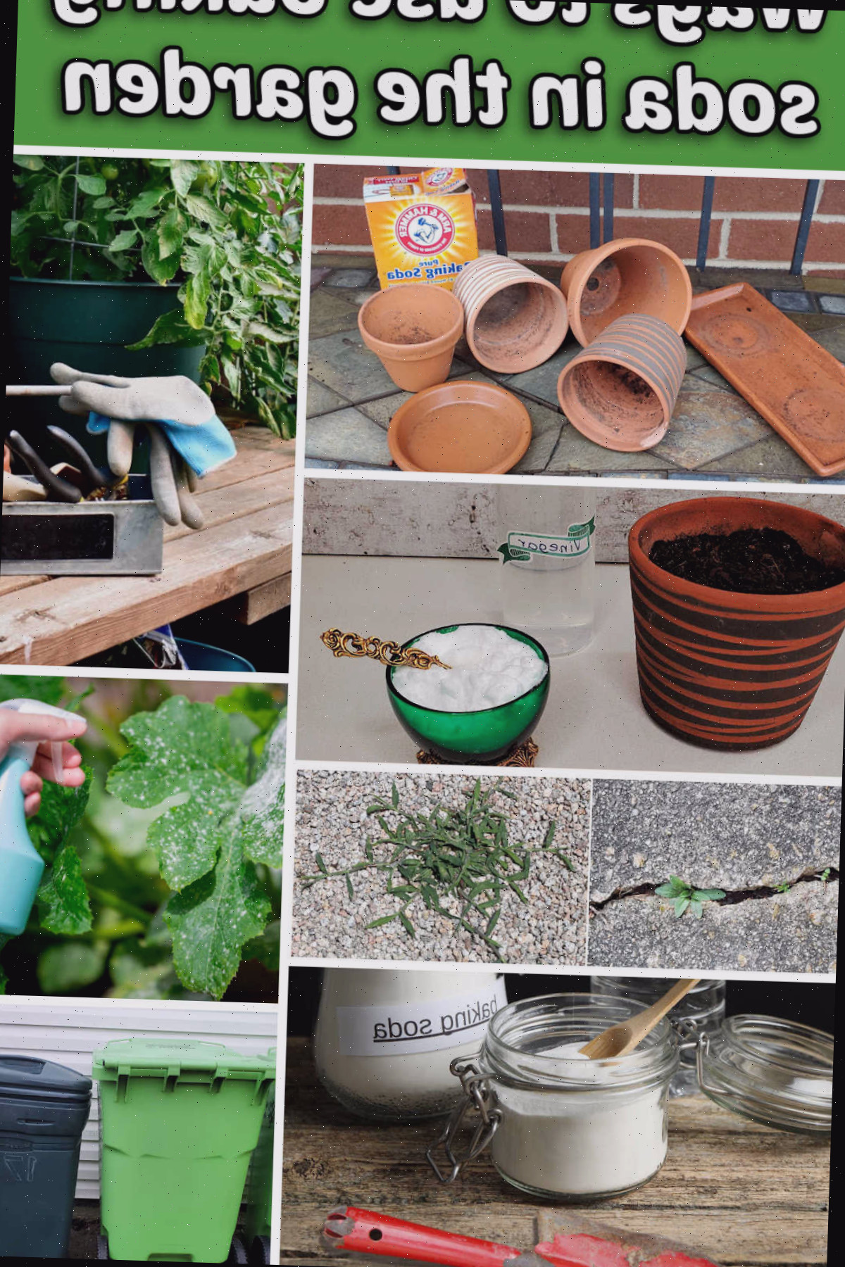 Como usar bicarbonato de sódio com segurança no jardim
