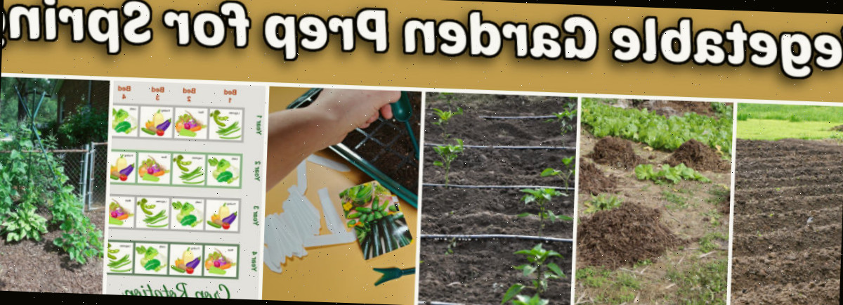 Imagens demonstrando como preparar uma horta para a primavera, incluindo irrigação por gotejamento, formação de linhas e rotação de culturas.