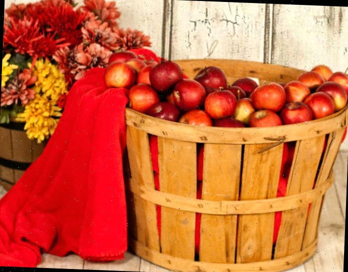 Decorações de cesta de maçã para o outono
