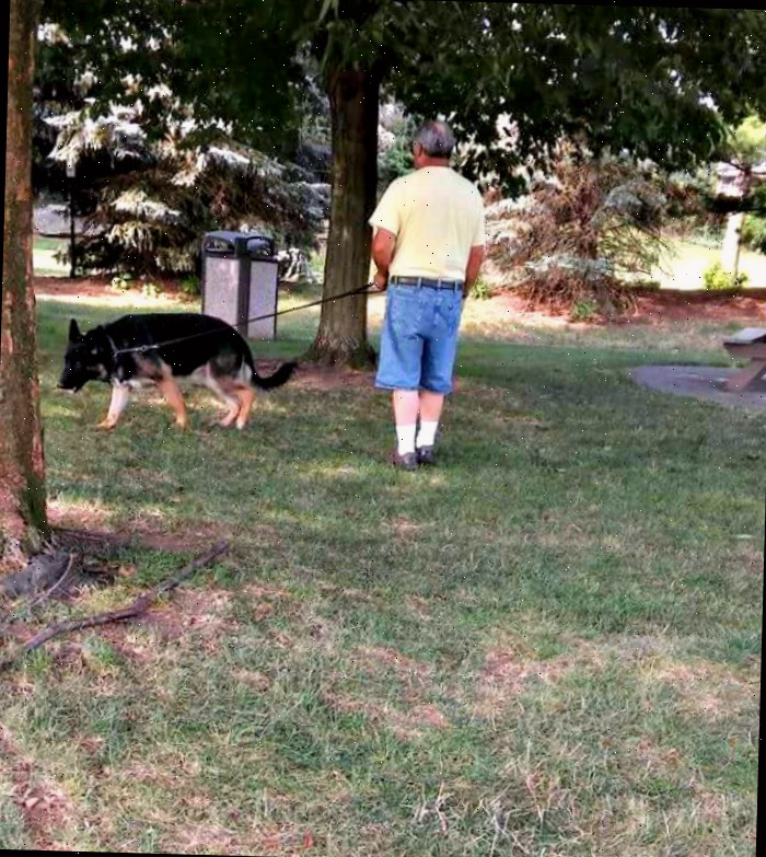 Passeie com um cachorro um tempo antes de se acomodar no motel