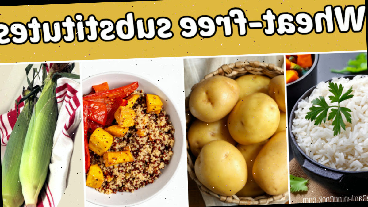 Arroz, batata, quinoa e milho em uma colagem com texto amarelo que diz alternativas sem trigo.